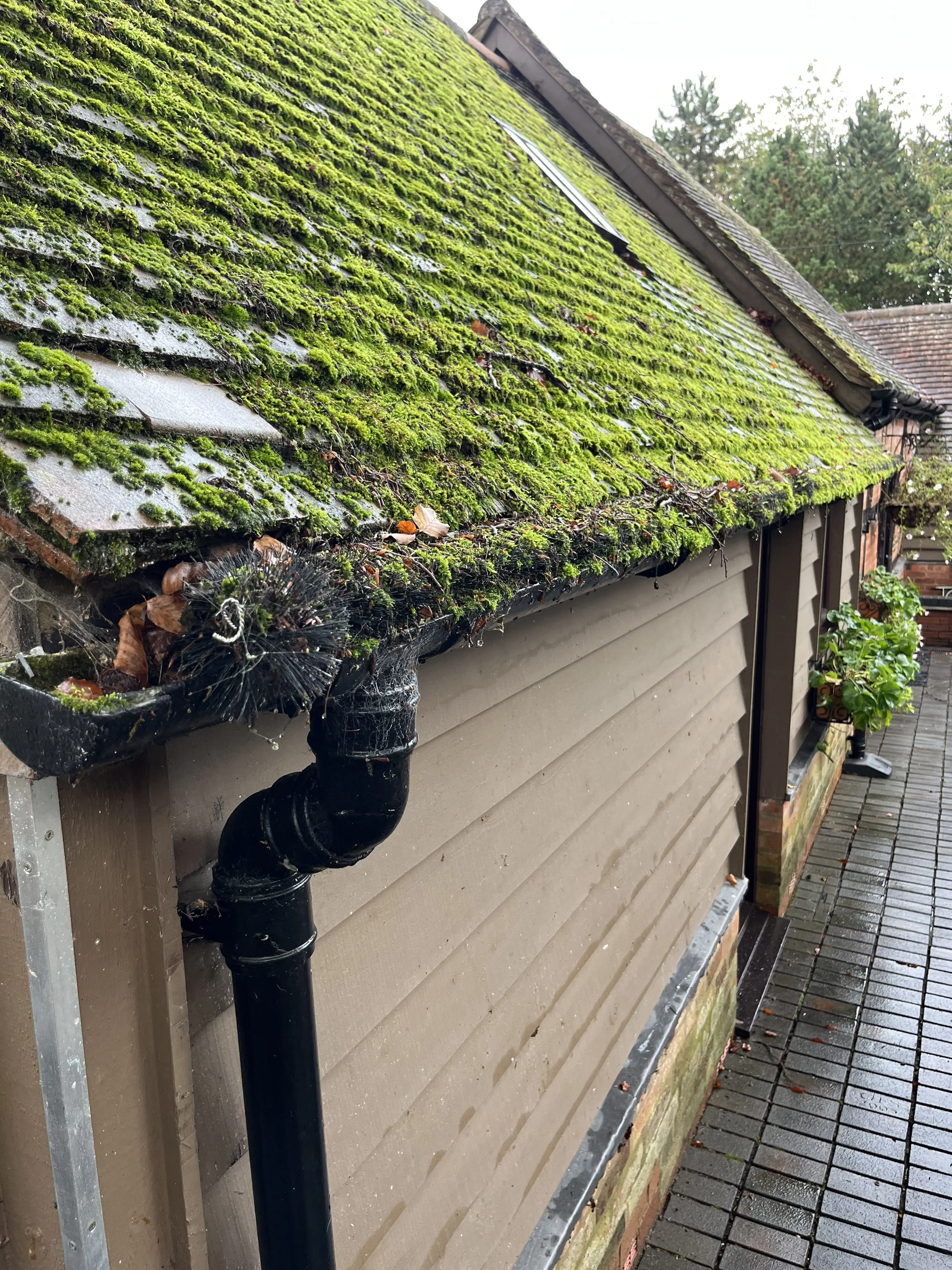Gutter hedgehogs, are they worth it?